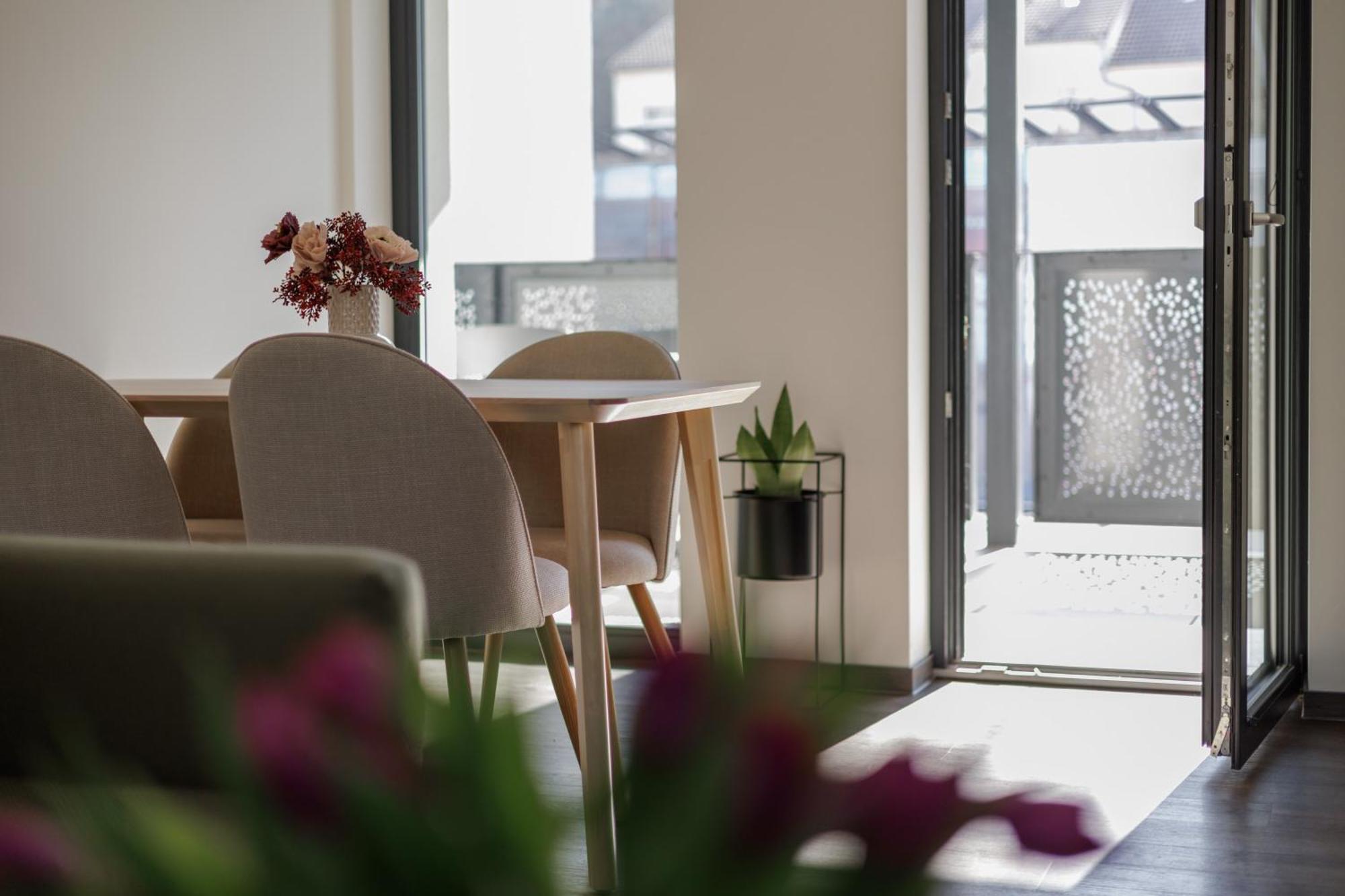 River Apartments Mladá Boleslav Zewnętrze zdjęcie